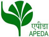 What is the Agricultural and Processed Foods Export Development Authority (APEDA)?